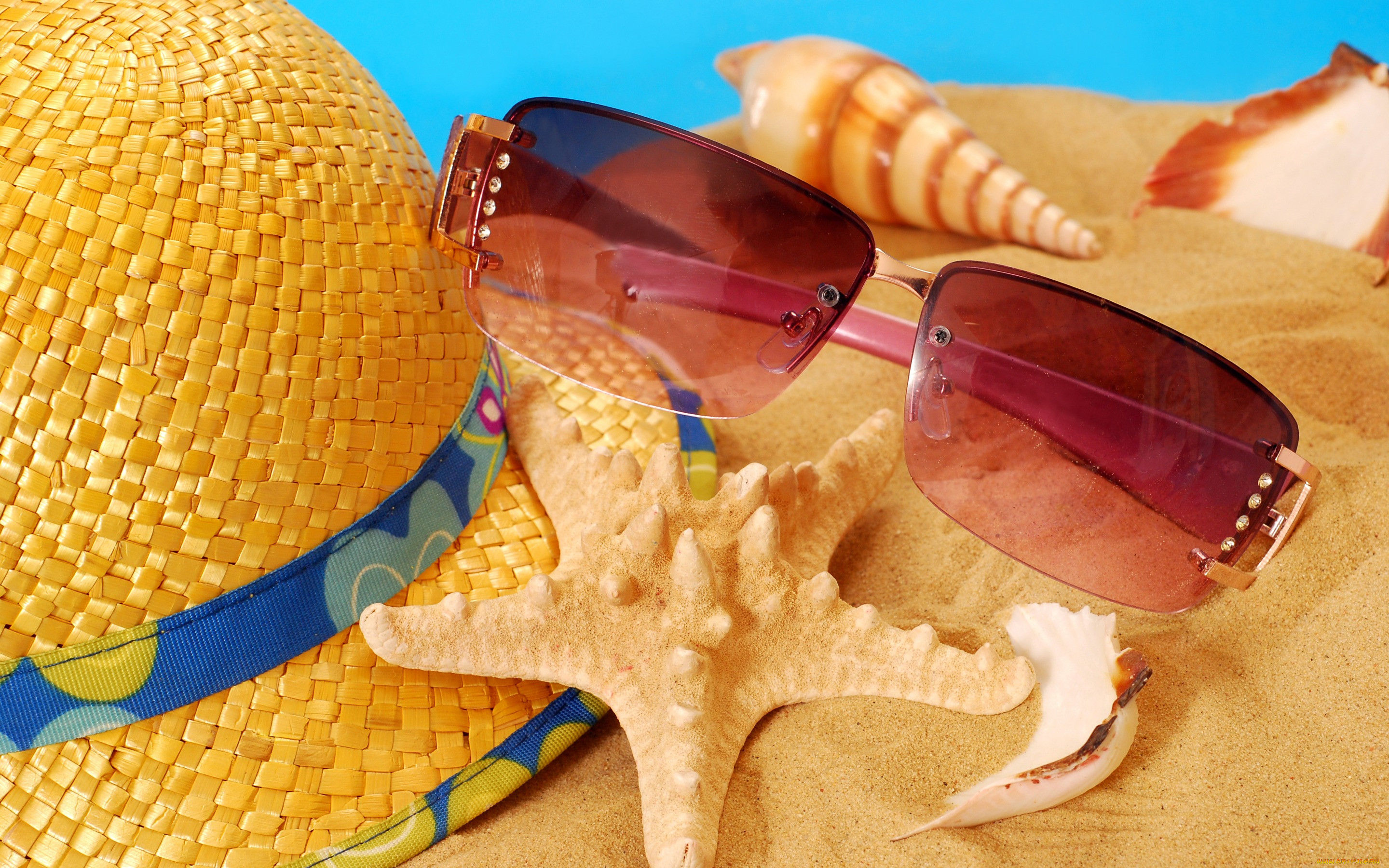 , ,  ,  ,  , vacation, , , seashells, , starfish, sand, accessories, summer, beach, , , 